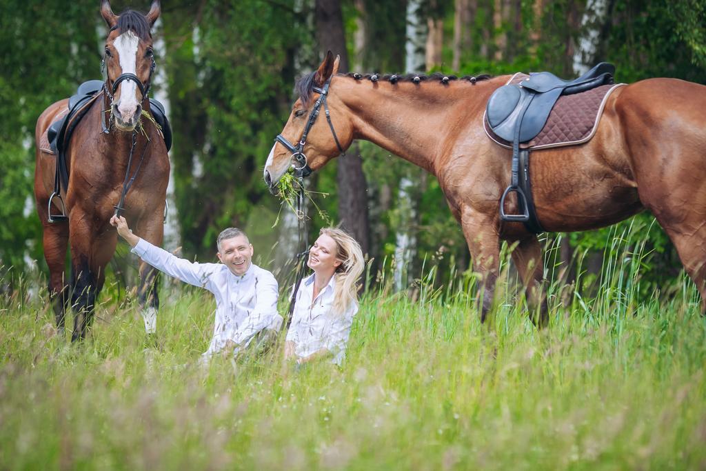 Hubertus Aparthotel & Restaurant & Horse Club Starogard Gdański الغرفة الصورة