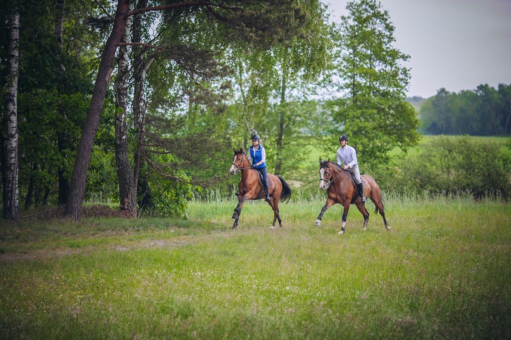 Hubertus Aparthotel & Restaurant & Horse Club Starogard Gdański المظهر الخارجي الصورة