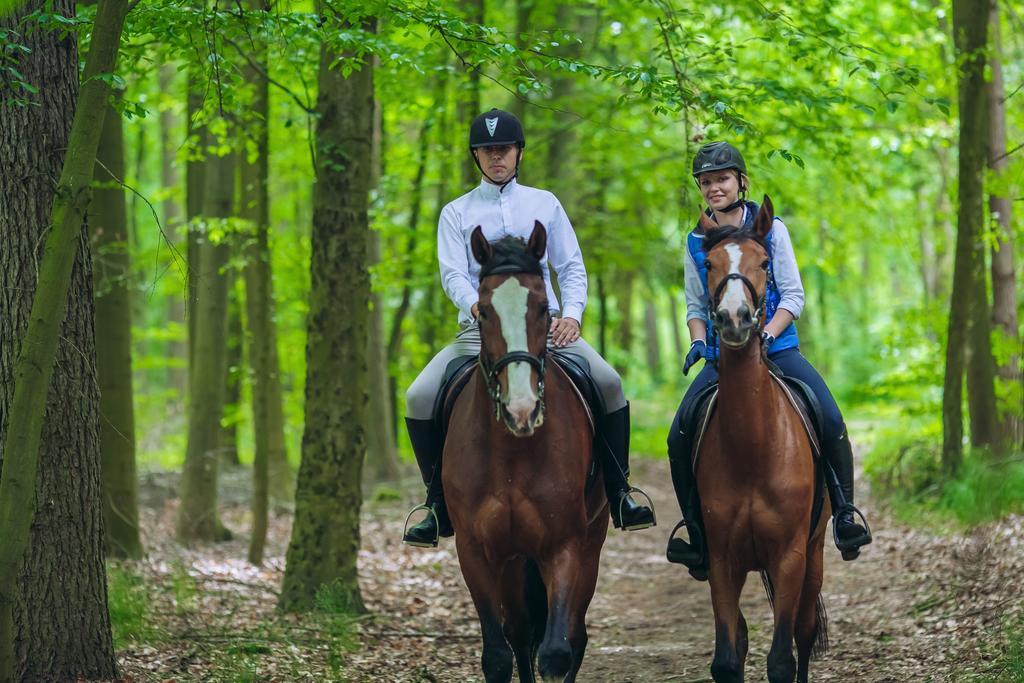 Hubertus Aparthotel & Restaurant & Horse Club Starogard Gdański الغرفة الصورة