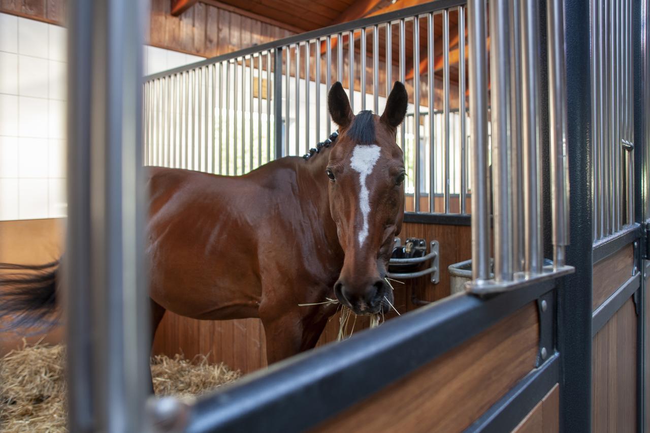 Hubertus Aparthotel & Restaurant & Horse Club Starogard Gdański المظهر الخارجي الصورة
